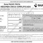 Guia pago facil Nuevo RUS